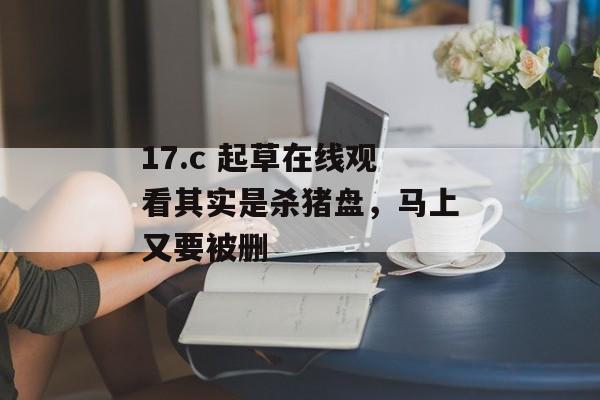 17.c 起草在线观看其实是杀猪盘，马上又要被删